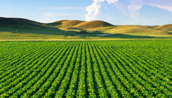 معرض الزراعة و تكنولوجيا الصناعات الزراعية