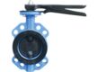 Plastic Butterfly Valve