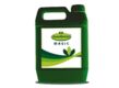 Evergreen Magic Liquid Fertilizer