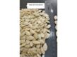 Over 9mm Nevsehir Pumpkin Seeds