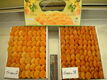 dried apricots