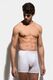 Lycra Men's Boxer