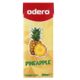 200 ML PINEAPPLE FRUIT JUICE DRINK