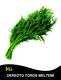 DILL SEED TOROS MELTEMİ