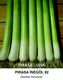 LEEK SEED İNEGÖL 92 