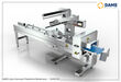 DAMS Long Conveyor Packaging Machine Without Feeder