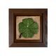 Wall Panel – Clover