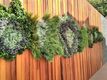 Artificial Vertical Garden - Artificial Green Wall