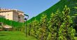 Grass Wire Fence