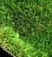 30 mm GRASS CARPET