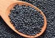 Beluga (Black) Lentils