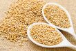 Flax Seed (Golden)