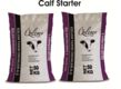 Calf Starter