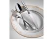 INFINITY FLATWARE LINE