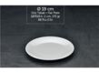 INTERNATIONAL 19 CM FLAT PLATE