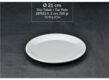 INTERNATIONAL 21 CM FLAT PLATE