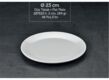 INTERNATIONAL 23 CM FLAT PLATE