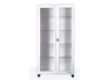 TWO DOORS MEDICINE STORAGE CABINET (GLASS SHELVES)