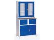 ANESTHESY MEDICINE STORAGE CABINET