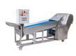  FRUIT VEGETABLE SLICING MACHINE-1/2