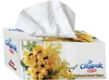 Citypack Professionel Extra Facial Tissue 200 x 24