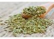 Fennel Seed