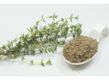 Thyme