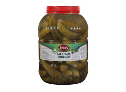 5lt-no2-salatalik-gherkins-pick..jpg