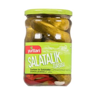 637225524231754139gherkins-pickled.jpg