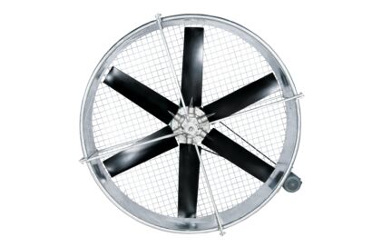 637245516752526685fan.jpg