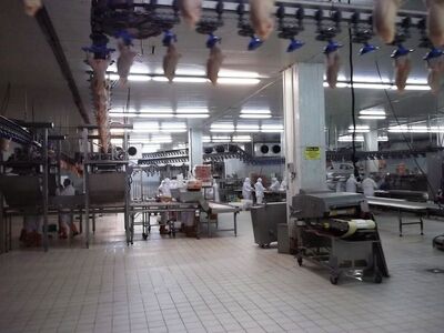 637648838154973675chicken-slaughter-house-5.jpg