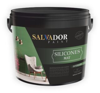 637987709087106022silicones.jpg