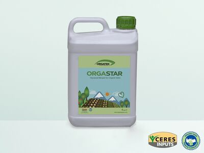 638198477495057806orgastar-4-litre.jpg
