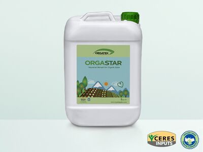 638198480074632619orgastar-8-litre.jpg