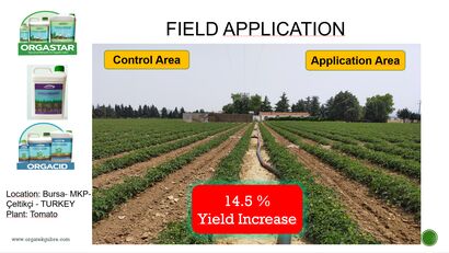 638198520856834583field-application-tat.jpg