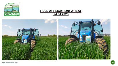 638198526282290764field-application-wheat-orgastar.jpg