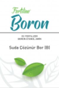 638216326623490823boron.jpg