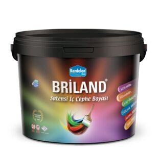 638899923224594537briland-satensi-ic-cephe-boyasi.jpg
