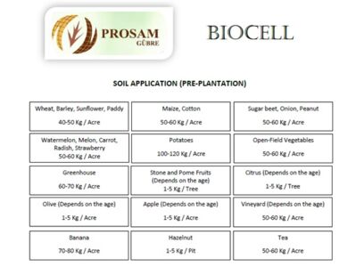 biocell-application.jpg