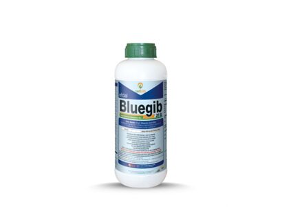 bluegib-20sl-500-ml.jpg
