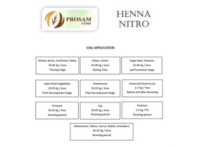 henna-nitro-application.jpg