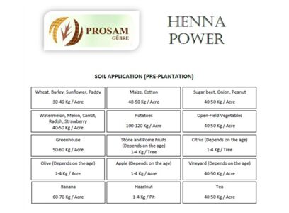 henna-power-application.jpg