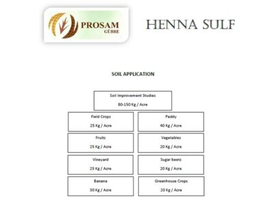 henna-sulf-application.jpg