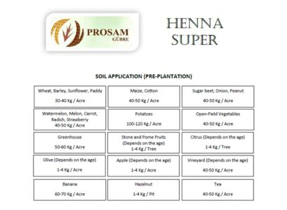 henna-super-application.jpg