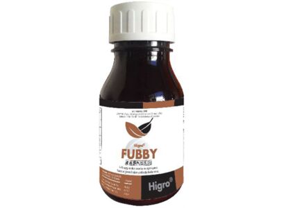 higro-fubby.jpg