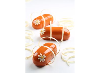 قوالب كاتو سيليكون