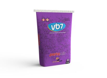 kraft-cuval-25kg.vb7.jpg