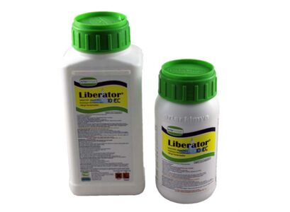 liberator-10-ec-copy.jpg