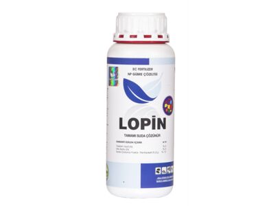 lopin.jpg