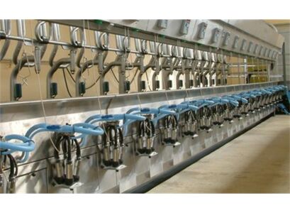 milking-systems-3.jpg